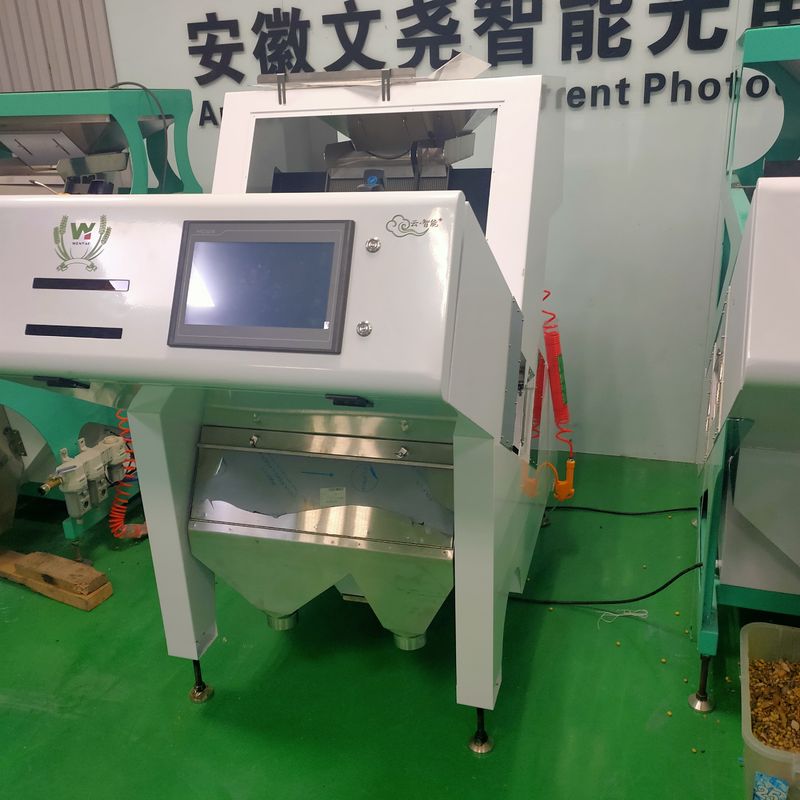 Agricultural Cocoa Coffee Beans Color Sorter Sorting Machine With CKD Filter