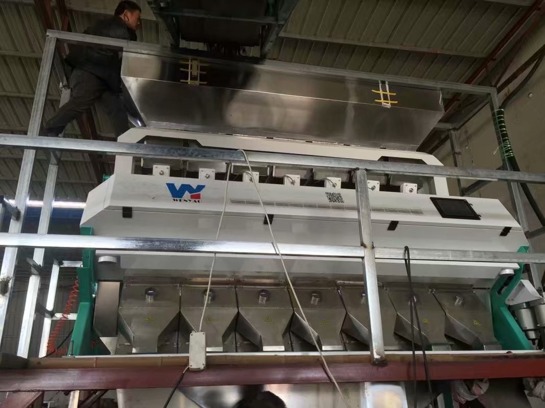 Parboiled Rice Color Sorter Machine With Metal Ejector