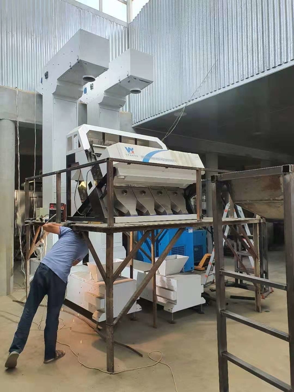 Four Chutes Coffee Bean Color Sorter With Wifi Remote Control Service