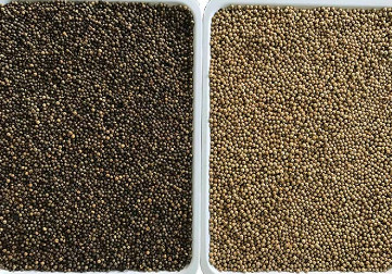 Corn Quinoa Wheat Sesame Rice Color Sorter Multifunction Automatic Ccd Optical