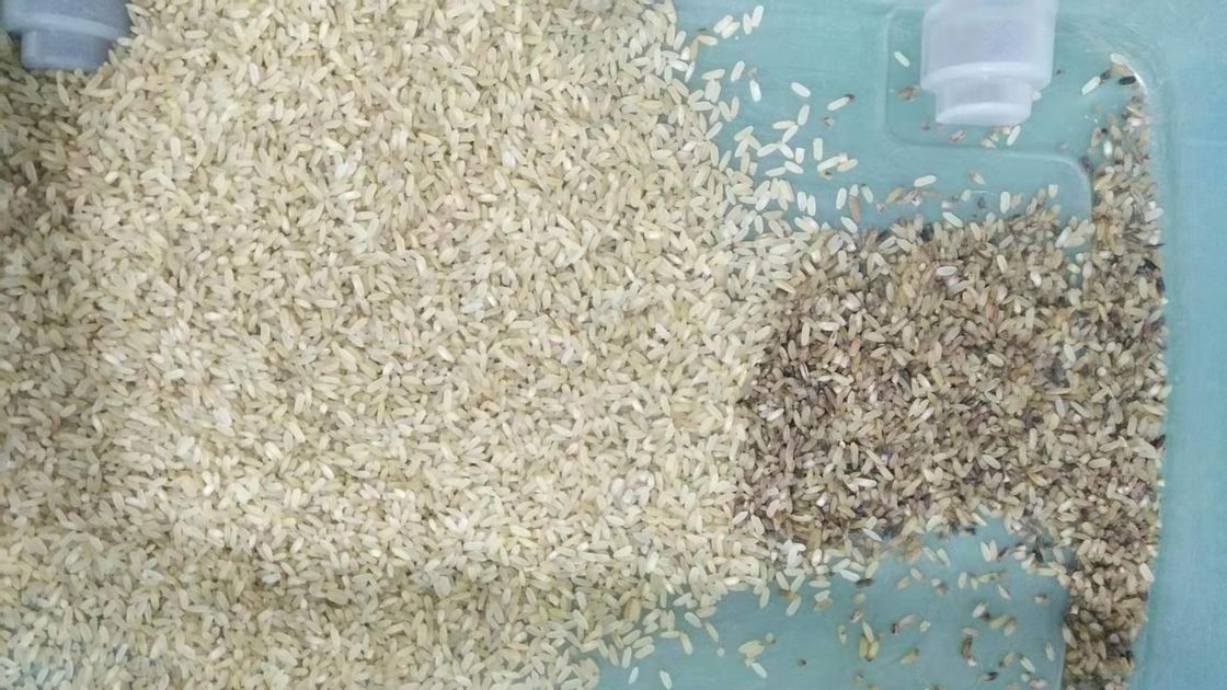 WENYAO Energy Saving Low Consumption Long Lifespan Industrial Rice Color Sorter