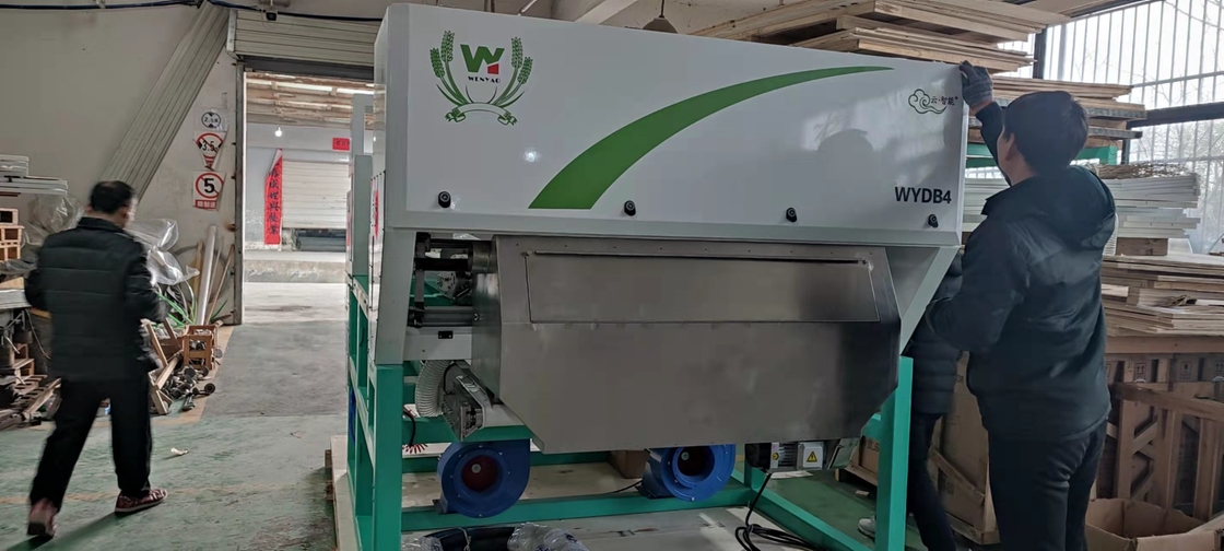 Rgb Metal Color Sorter High Capacity For Copper Aluminum Zinc