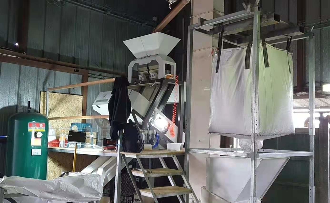 Macadamia Nut Seeds Bean Grain Color Sorting Machine 1 Chutes 64 Channels
