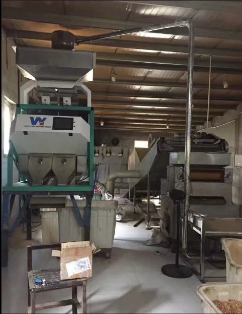 Macadamia Nut Seeds Bean Grain Color Sorting Machine 1 Chutes 64 Channels