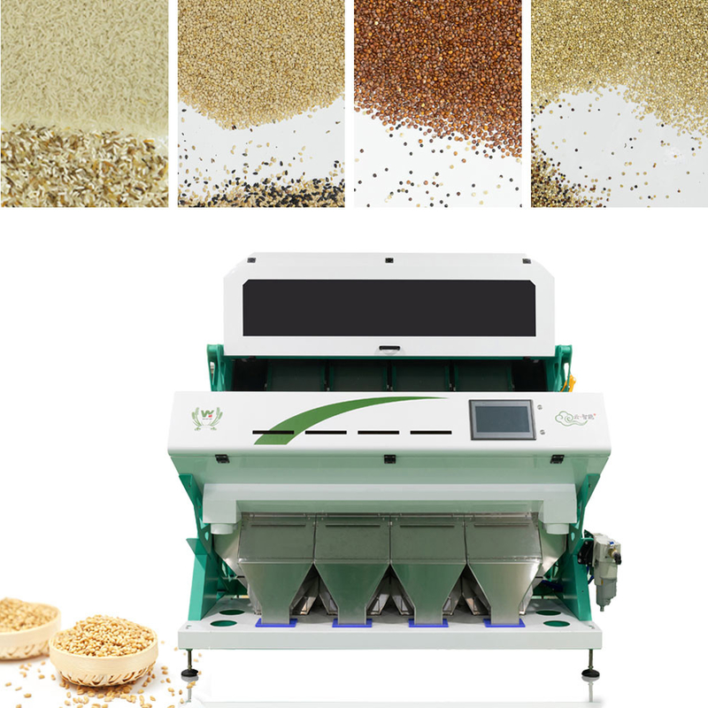 LED Lights Optcal Glutinous Rice Color Sorter Accuracy Up to 99.99% hot in Thailand
