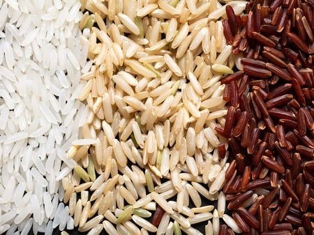 WENYAO CCD Rice Millet Sesame Color Sorter 192 Channels