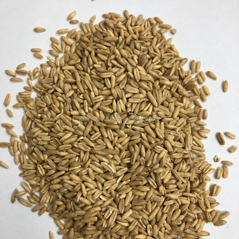 Grain Oat Color Sorting Machine For Barley Wheat