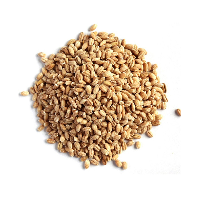 Wenyao Farm Machines 4 Ramps Optical Sorter Supplier Wheat Color Sorter