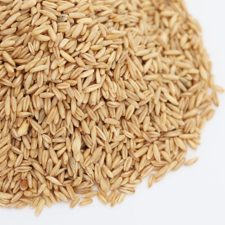 Oat Wheat Color Sorter Machine 7 Chutes 2 Years Warranty
