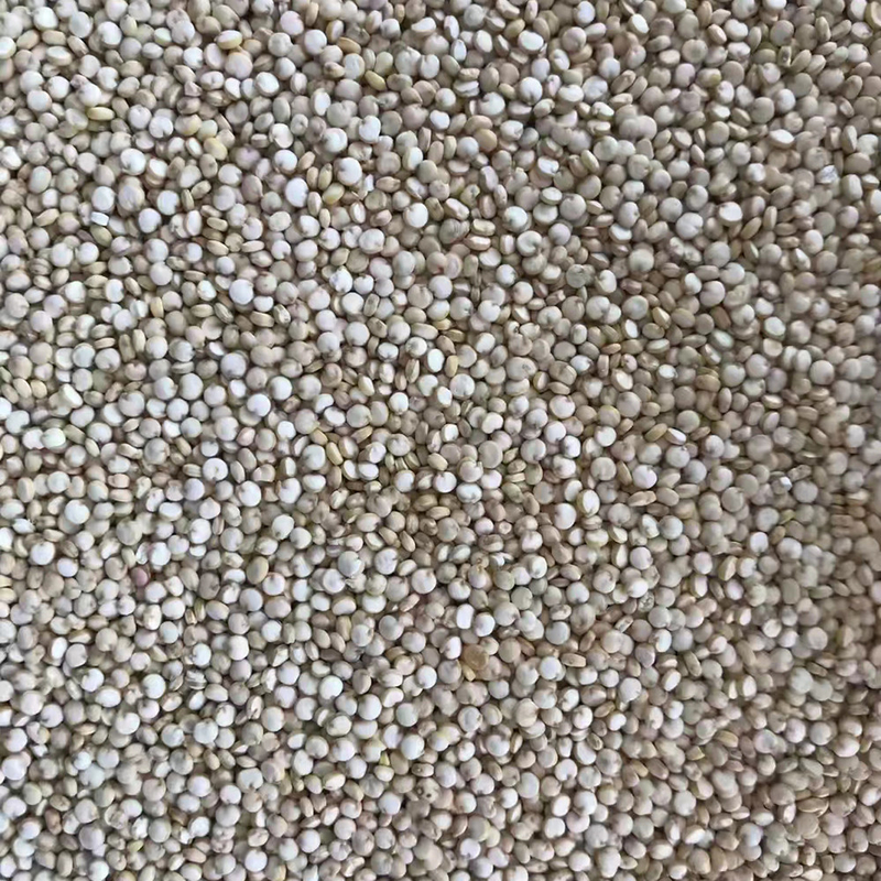 LED CCD Small Quinoa Wheat Color Sorter Machine 1 Chute
