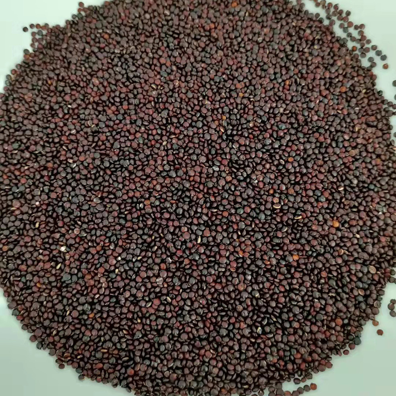 LED CCD Small Quinoa Wheat Color Sorter Machine 1 Chute