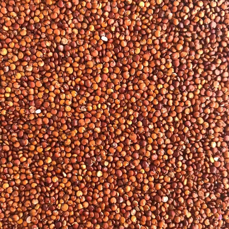 LED CCD Small Quinoa Wheat Color Sorter Machine 1 Chute