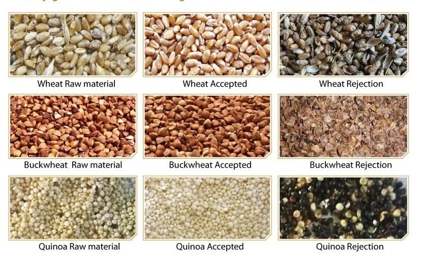 Wheat Barley Rye Grain Color Sorter 5 Ton/H With CCD Camera