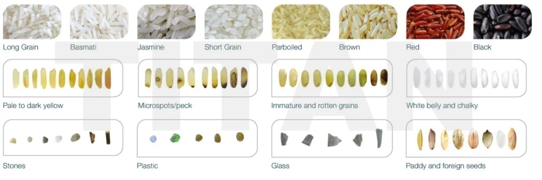 WENYAO Color Sorter Optical CCD Rice Sesame Walnut Cereal Color Sorting Machine