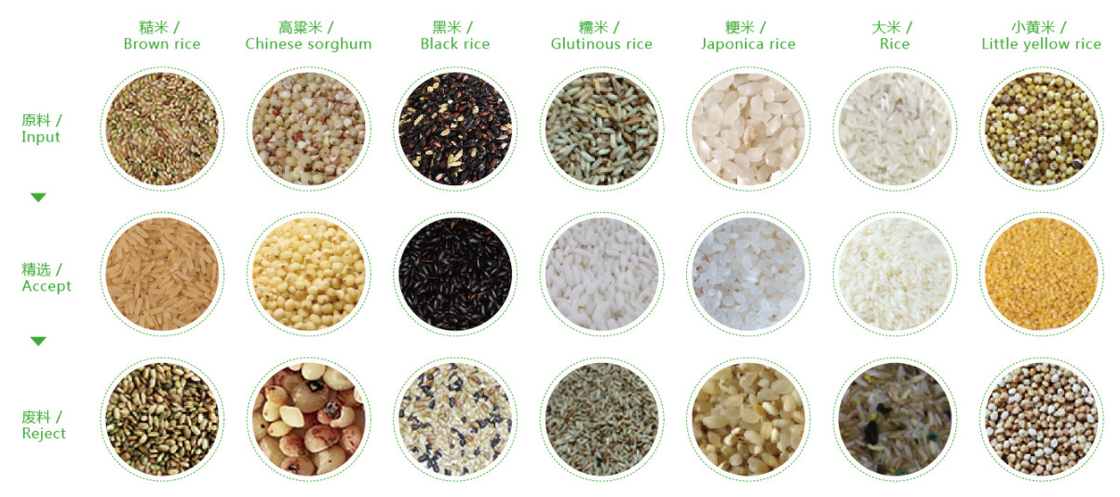 WENYAO Color Sorter Optical CCD Rice Sesame Walnut Cereal Color Sorting Machine