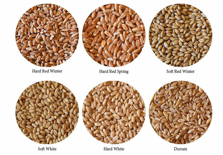 WENYAO CCD LED Lights Grain Color Sorter Machine 2 - 6T/H