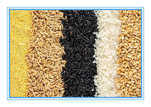 Larger Capacity Grain Corn Color Separator Machine With CCD LED Lights Hot In Brazil