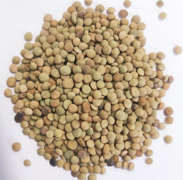 China Agricultural Automatic Grain Color Sorter Machine Hot in the United States