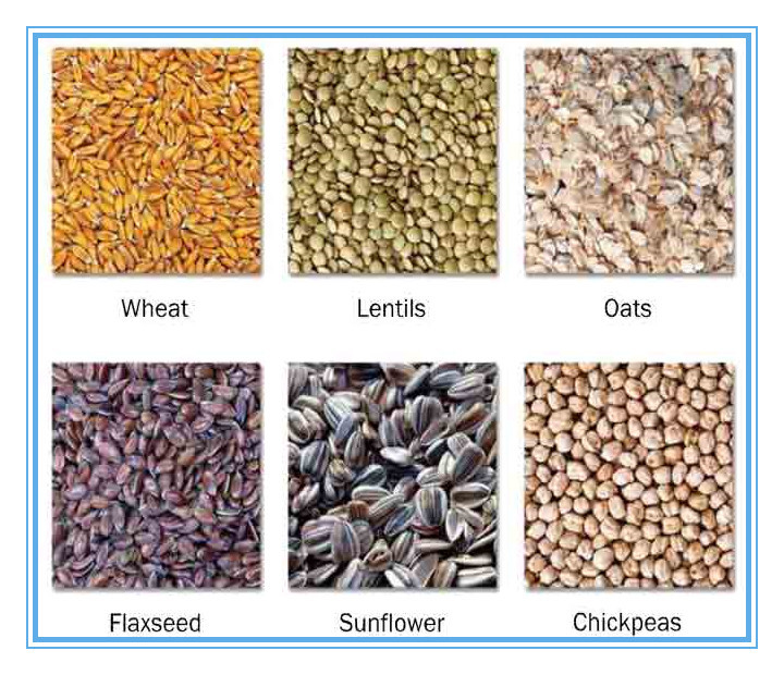 WENYAO High Technologhy CCD LED Grain Color Sorter with 10 Chutes 540 Channels