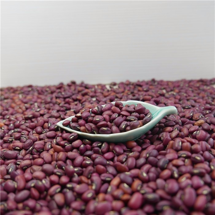 CHina Factory Wholesale Mini Red Beans Color Sorter Machine 1 Ton Per Day