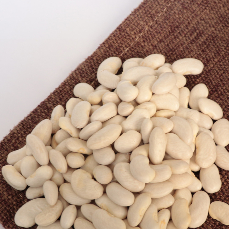 High Output Farmland Automatic Haricot Navy Beans Color Sorter Popular in the USA