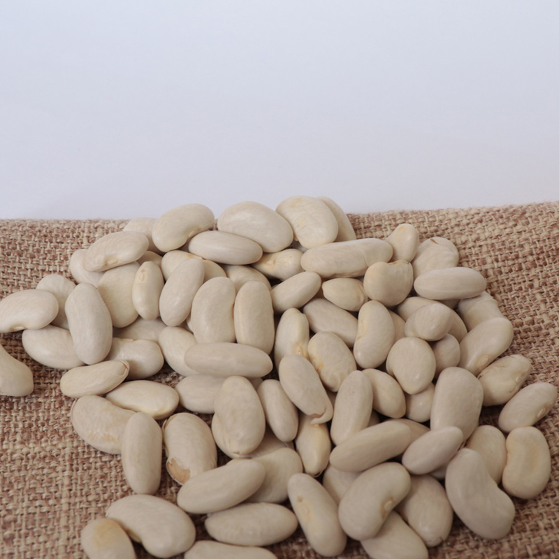 High Output Farmland Automatic Haricot Navy Beans Color Sorter Popular in the USA