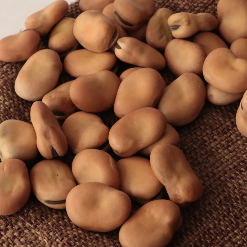 2022 Customized Top Quality Broad Beans Color Sorter Grading Machinery with 2 Chutes