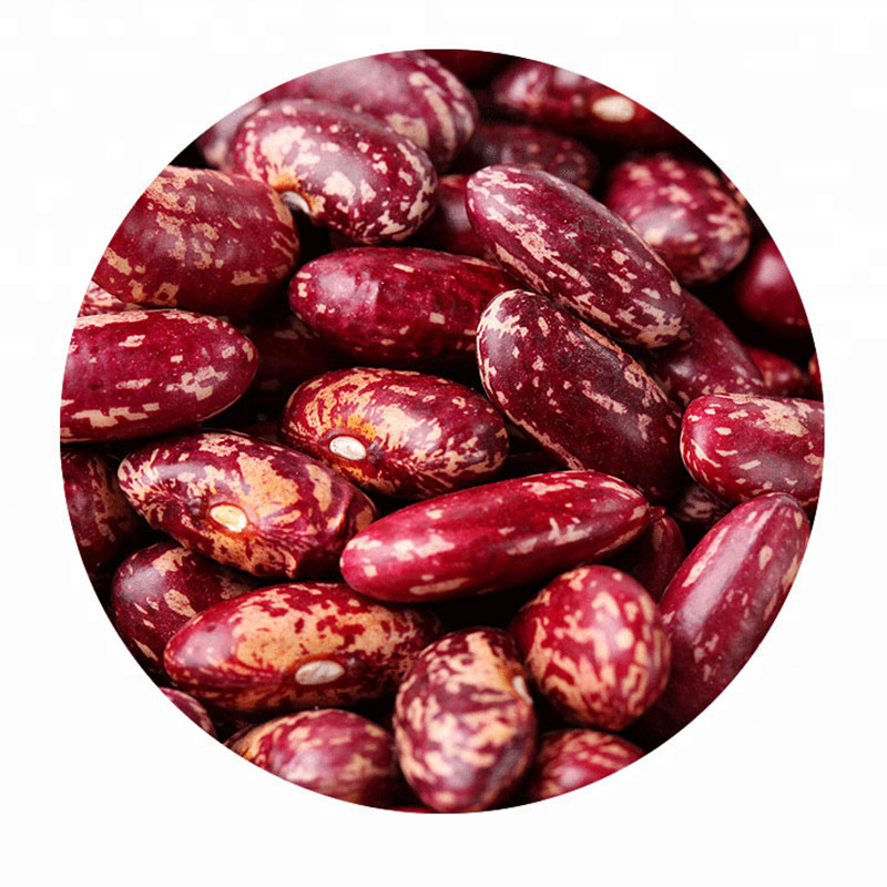 Factory Quality Supplier Low Price Red Kidney Beans Sorting Machine Hot in Brazil