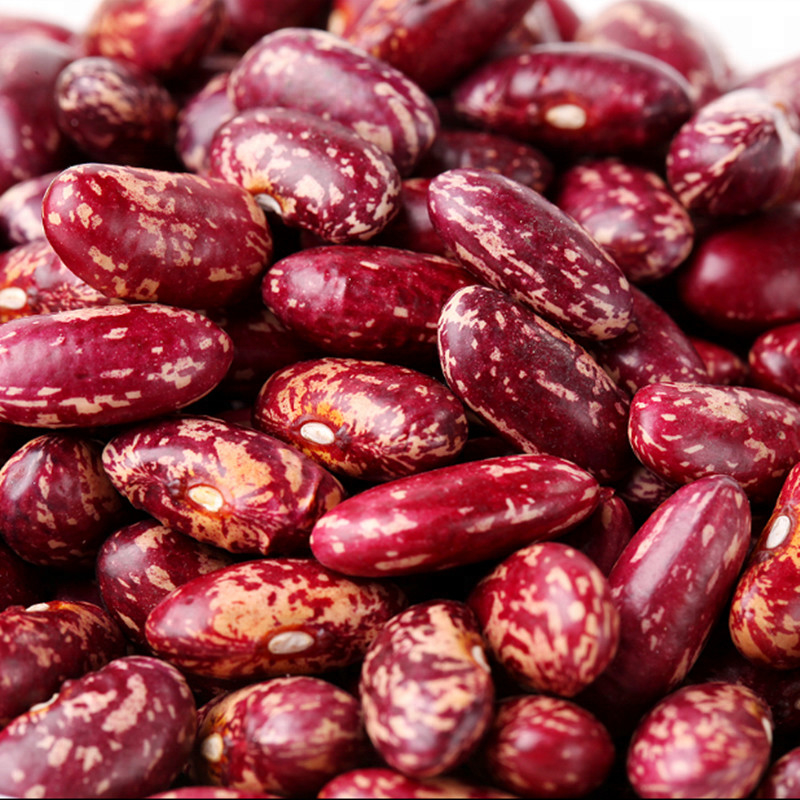 Factory Quality Supplier Low Price Red Kidney Beans Sorting Machine Hot in Brazil