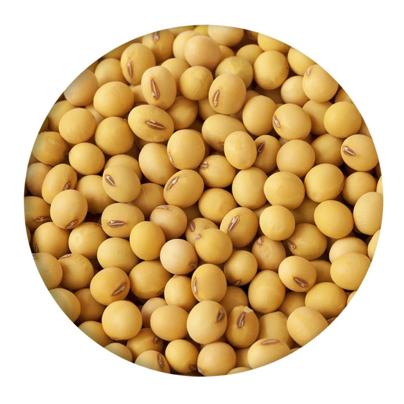 WENYAO 2022 Hot Sale CCD LED Auto 4 Chutes Soybean Color Grading Machine Hot in Brazil