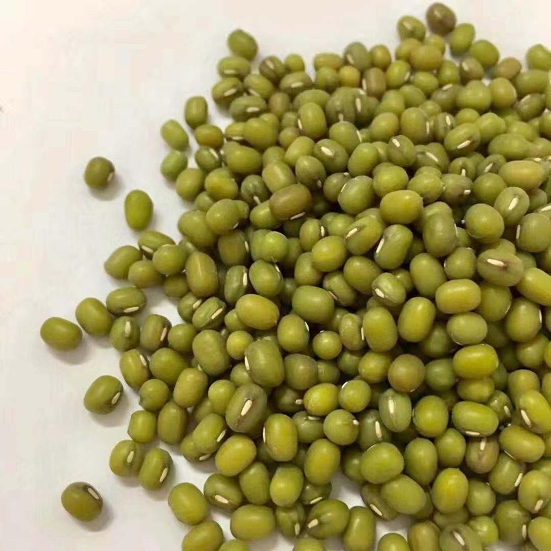 High Efficiency and High Capacity CCD Optical Mung Beans Color Sorting Machine