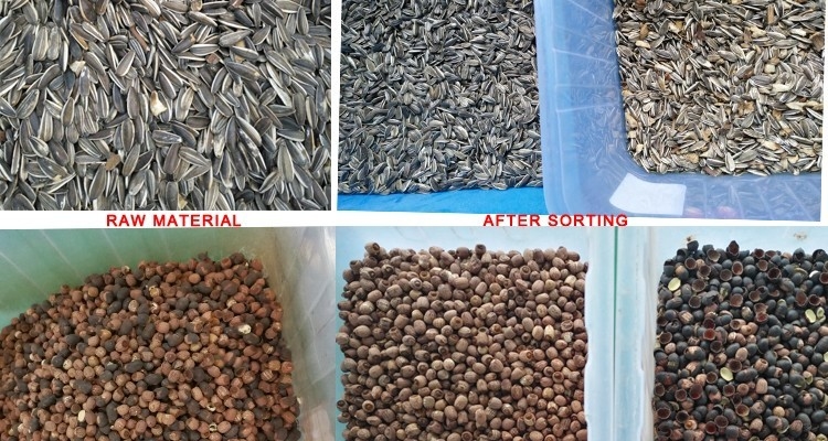 1.6KW 220V Grain Color Sorter , Sesame Seeds Coffee bean Mung bean Processing Machine