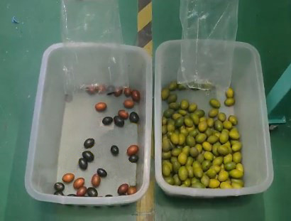 Chinese best Cheapest Intelligent Pepper Olive Peanut Color Sorter CCD Sorting Grading Machine