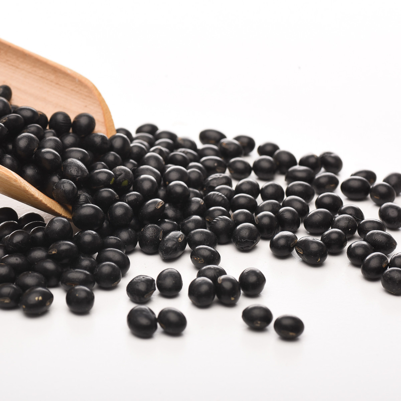 Stainless Steel Low Consumption Black Kidney Beans Color Sorter Machine Farmland Plant