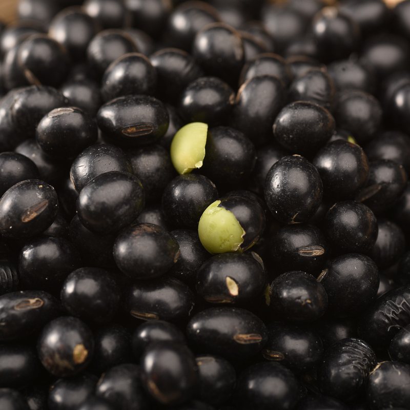 Stainless Steel Low Consumption Black Kidney Beans Color Sorter Machine Farmland Plant