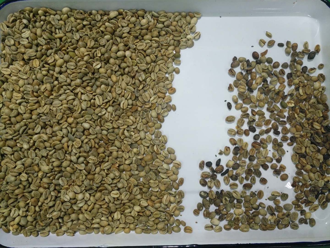 Automatic Soybean Kidney Lentil Beans Color Sorter Customized