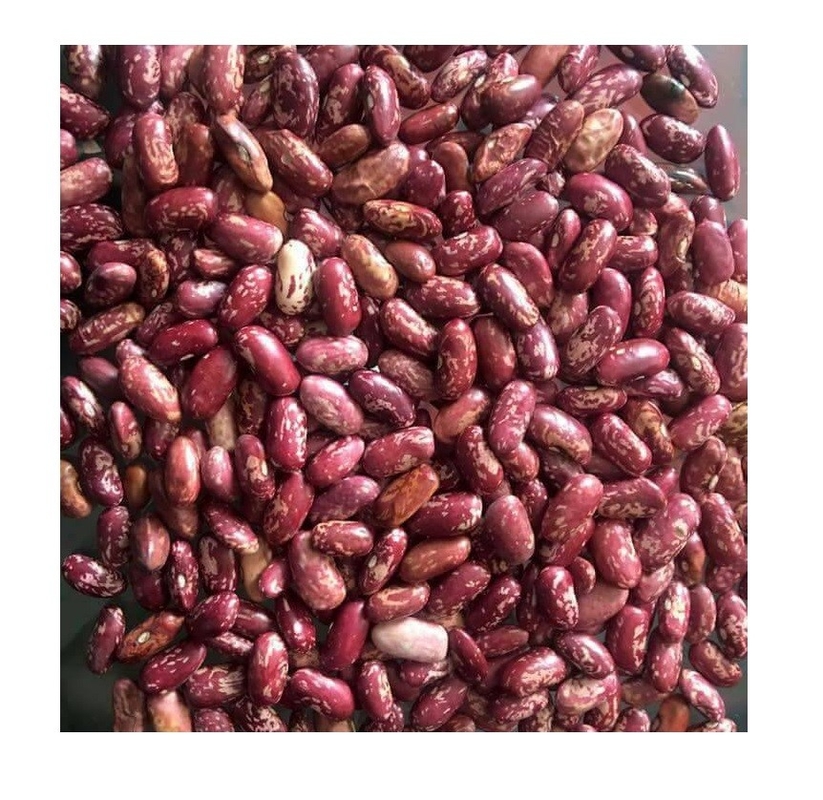 China Factory Wholesale Customized Automatic Kidney Beans Color Separator Machine