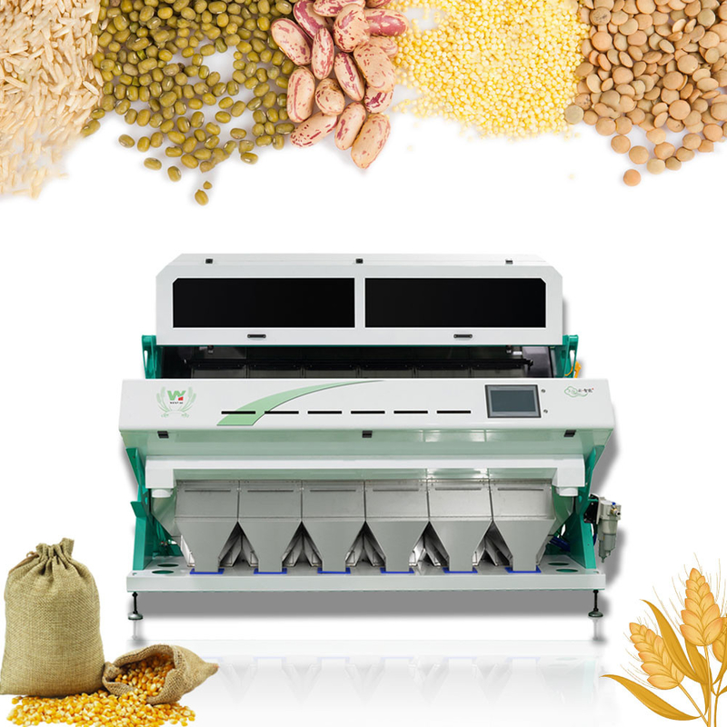 High Speed 6 Chute RGB Rice Macadamia Coffee beans Color Sorting Machine with CE certificate