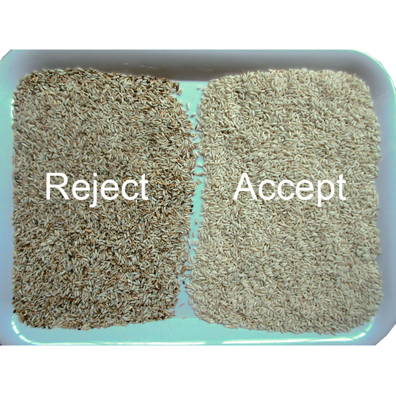 High Speed 6 Chute RGB Rice Macadamia Coffee beans Color Sorting Machine with CE certificate