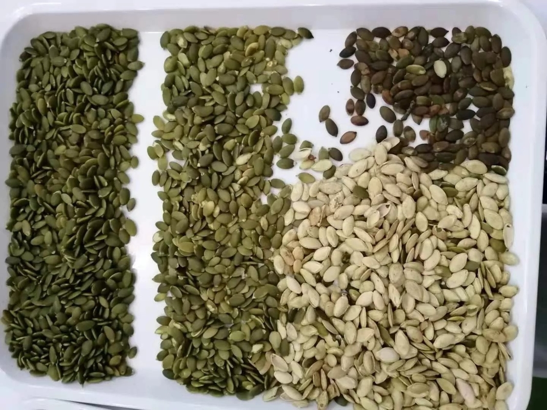 Peanut Groundnut Optical Sorting Machine High Accuracy Stainless Steel Almond Raisin Sorter