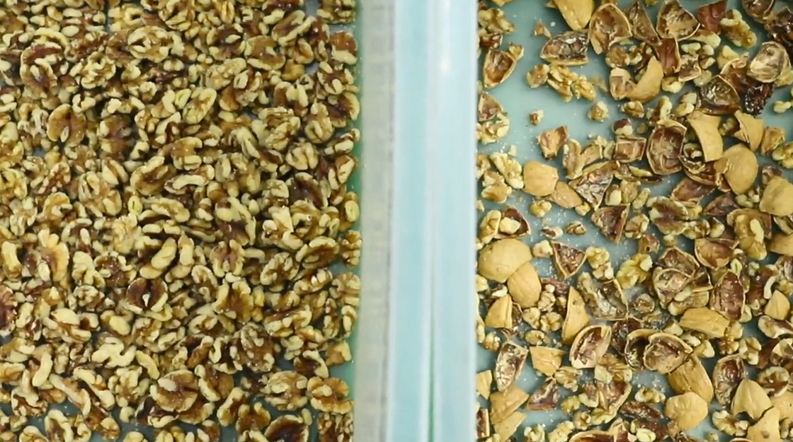 Wenyao Nut Sorting Processing Machine CCD Camera AI Nut Color Sorter