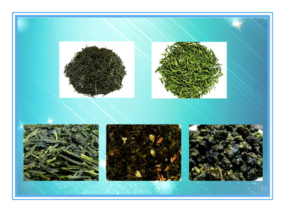 Champion Popular and Factory Price Multifunction Color Selector Machinery