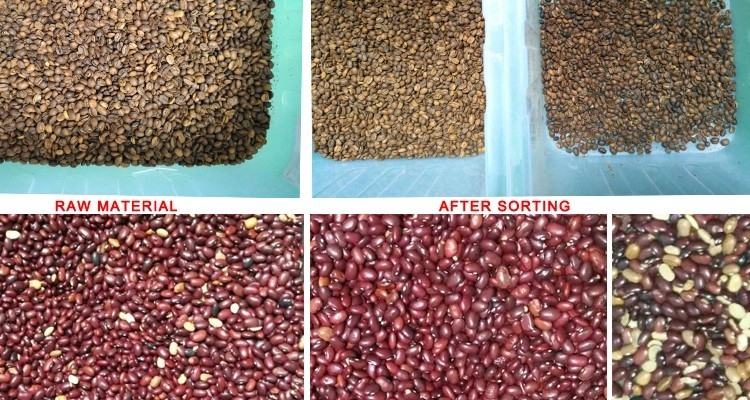 Dried Onion Slices Color Sorting Machine 320 Channels Vegetable Olive Cherry Beans Small Fruits