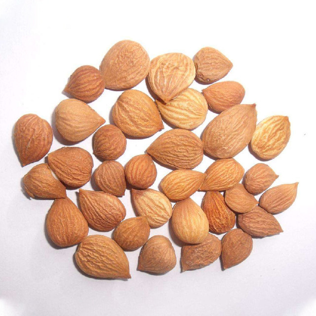 China Quality Supplier Complete Set Almond Color Sorter Machine For Food Plant