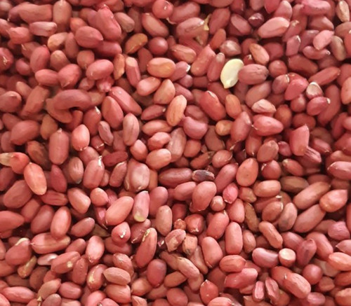 WENYAO CCD LED Lights Nuts Peanuts Color Sorter Machine For Food Plant