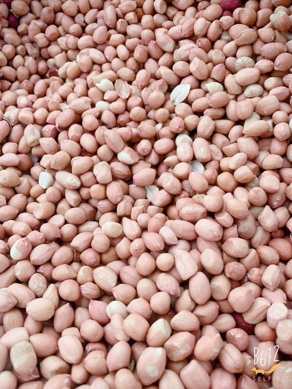 WENYAO CCD LED Lights Nuts Peanuts Color Sorter Machine For Food Plant