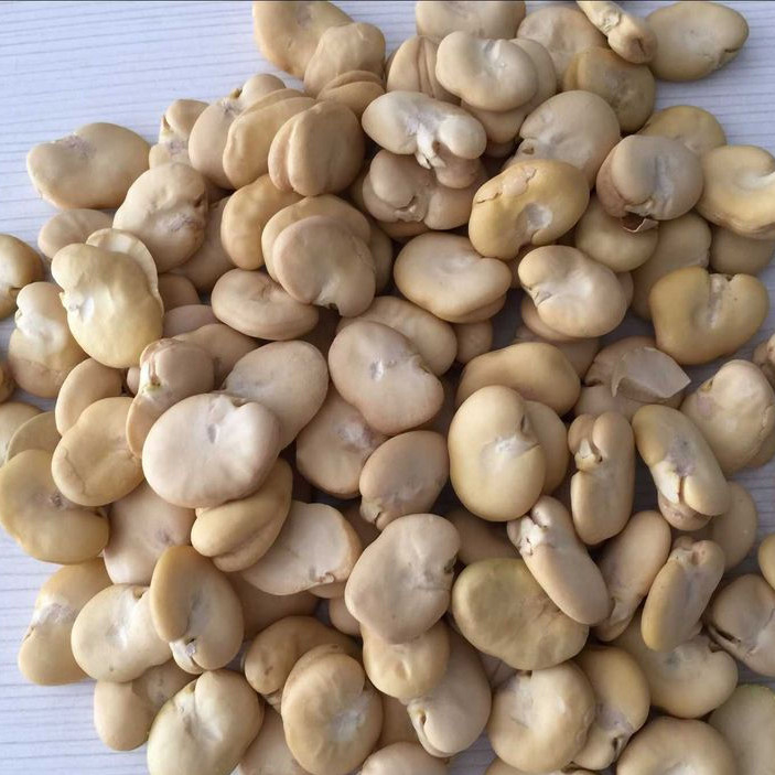 Smart CCD Optical Nuts Beans Color Sorting Machine For Food Plant