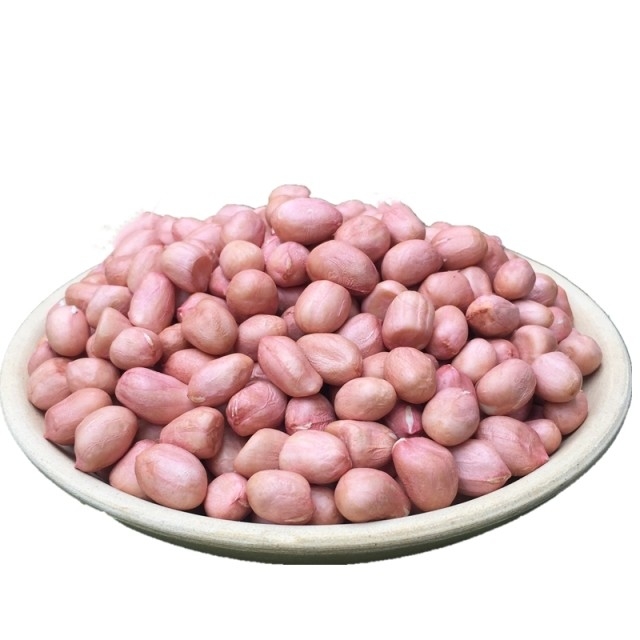 CCD LED Peeled Peanut Nuts Color Sorter 5 Chutes 320 Channels