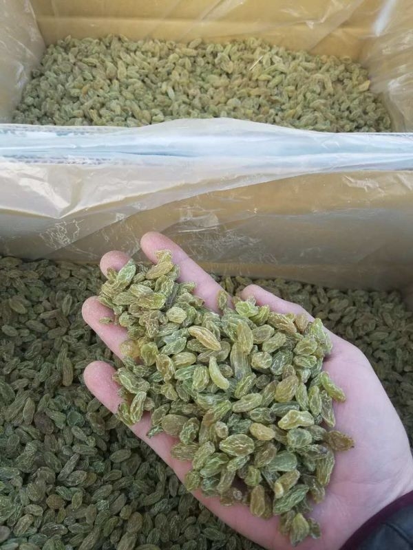 High Efficiency Raisins Nuts Color Sorter Machine Output 100 Tons Per Day