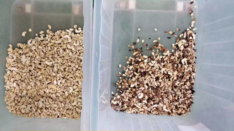 5 Chutes Nuts Color Sorter with Japan Toshiba CCD Sensor and ≥99.99% Accuracy for Peeled Peanut Almond Walnut Raisin